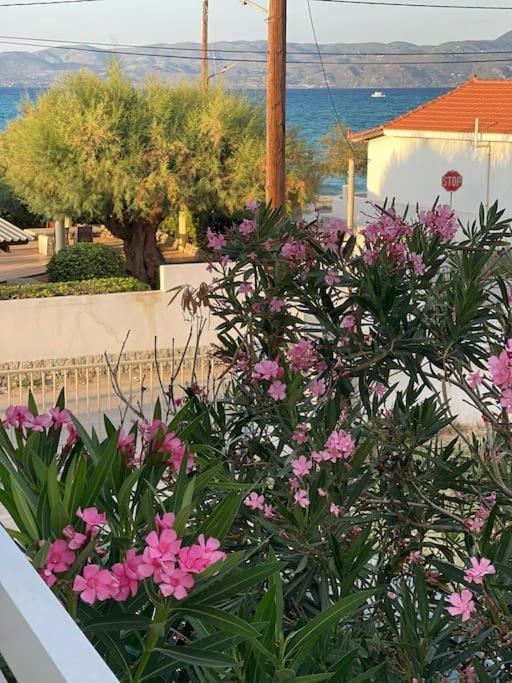 Chris View Villa Kato Assos Exterior photo